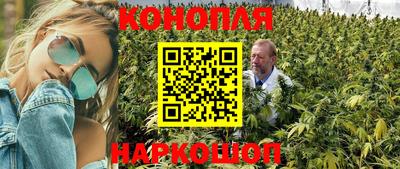 прущие крисы Долгопрудный
