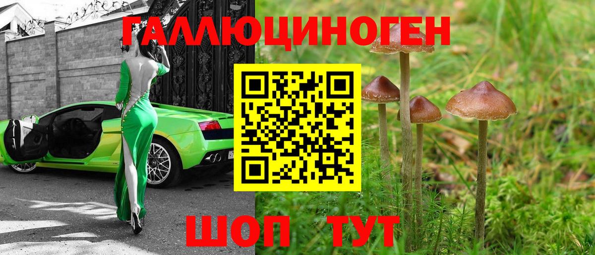закладки  Псилоцибиновые грибы Psilocybe  Вход с VPN  Зеленодольск 